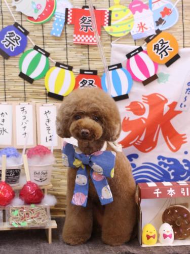 20240713ろこちゃん